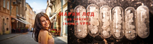 spice Кодинск