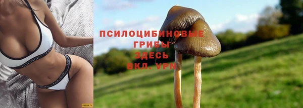 ALPHA PVP Корсаков