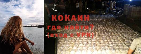 шишки Козловка