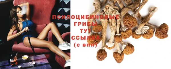 а пвп мука Карталы