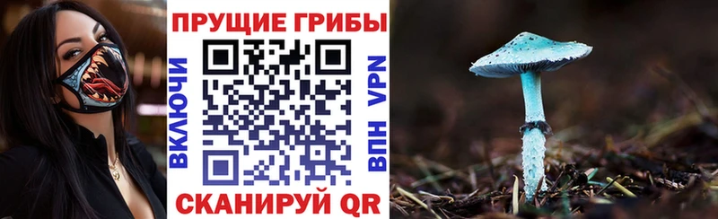 Псилоцибиновые грибы Psilocybe  наркота  KRAKEN ссылки  Ковдор 